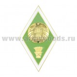Знак Высшее сельскохозяйственное образование РБ
