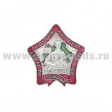 Значок 100 выходов на охрану государственной границы РБ